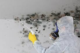 Best Air Quality Testing for Mold Spores in La Plata, MO